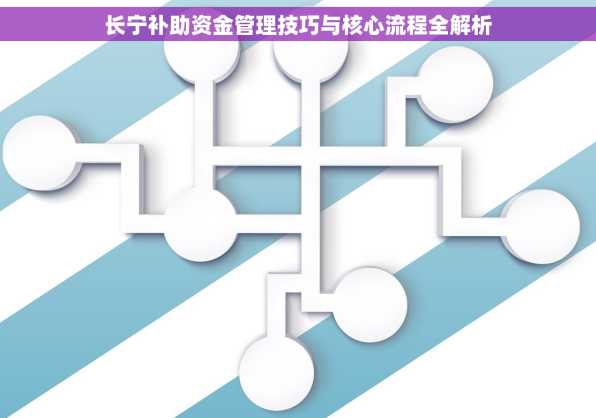 长宁补助资金管理技巧与核心流程全解析