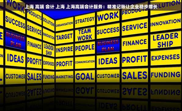 上海 高端 会计 上海 上海高端会计服务：精准记账让企业稳步增长