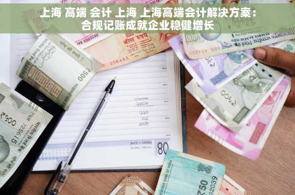 上海 高端 会计 上海 上海高端会计解决方案：合规记账成就企业稳健增长