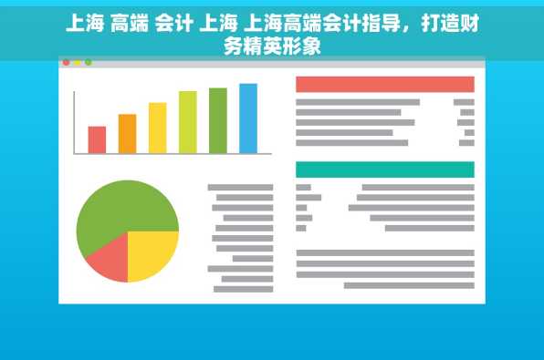 上海 高端 会计 上海 上海高端会计指导，打造财务精英形象