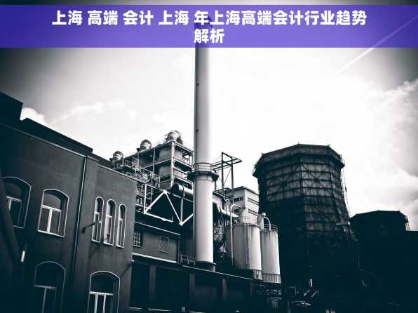 上海 高端 会计 上海 年上海高端会计行业趋势解析