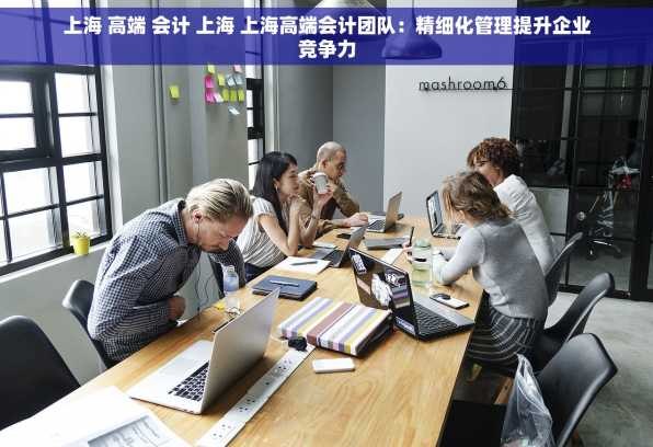 上海 高端 会计 上海 上海高端会计团队：精细化管理提升企业竞争力
