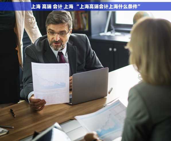 上海 高端 会计 上海 “上海高端会计上海什么条件”