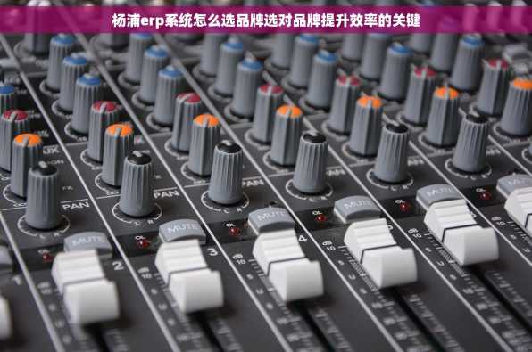 杨浦erp系统怎么选品牌选对品牌提升效率的关键
