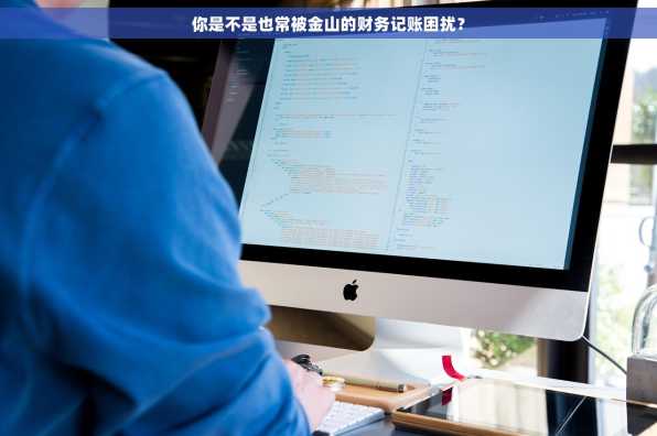 你是不是也常被金山的财务记账困扰？