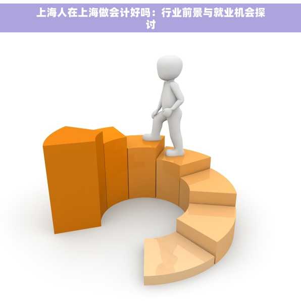 上海人在上海做会计好吗：行业前景与就业机会探讨