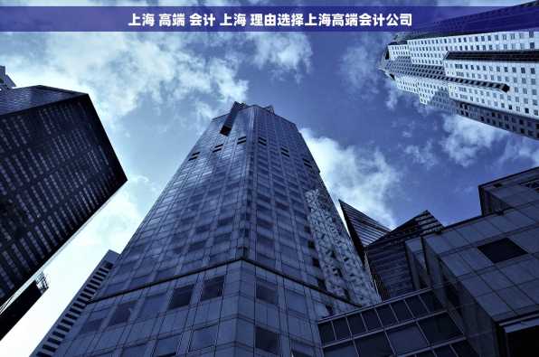 上海 高端 会计 上海 理由选择上海高端会计公司