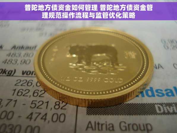 普陀地方债资金如何管理 普陀地方债资金管理规范操作流程与监管优化策略