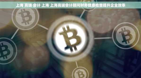 上海 高端 会计 上海 上海高端会计顾问财务健康检查提升企业效率
