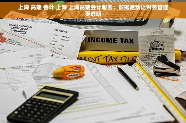 上海 高端 会计 上海 上海高端会计服务：数据驱动让财务管理更透明