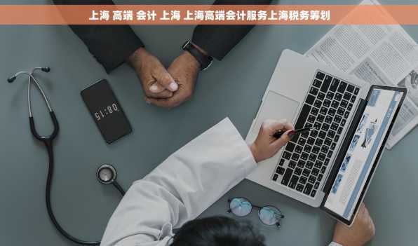 上海 高端 会计 上海 上海高端会计服务上海税务筹划