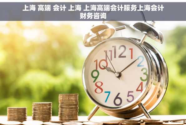 上海 高端 会计 上海 上海高端会计服务上海会计财务咨询