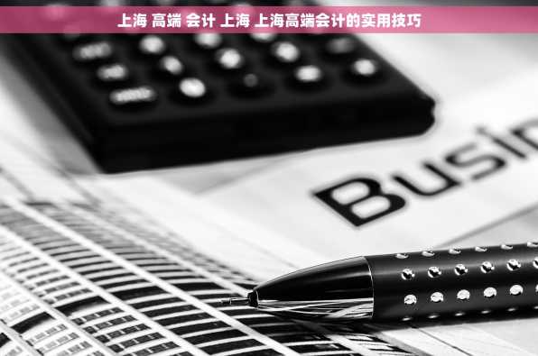 上海 高端 会计 上海 上海高端会计的实用技巧