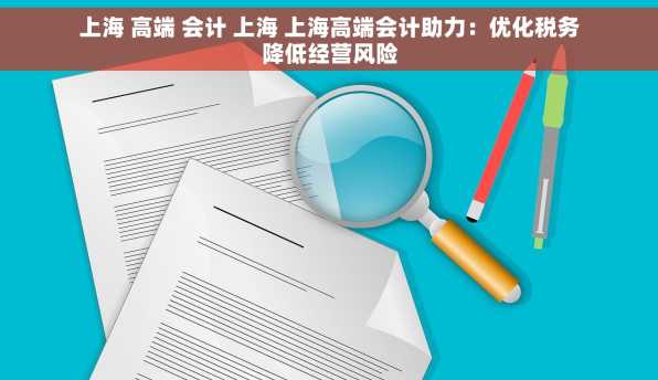 上海 高端 会计 上海 上海高端会计助力：优化税务降低经营风险