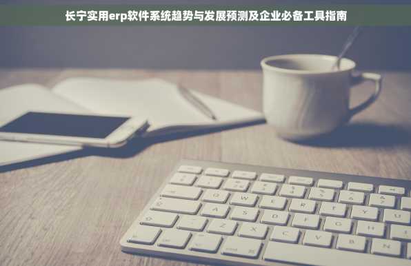 长宁实用erp软件系统趋势与发展预测及企业必备工具指南