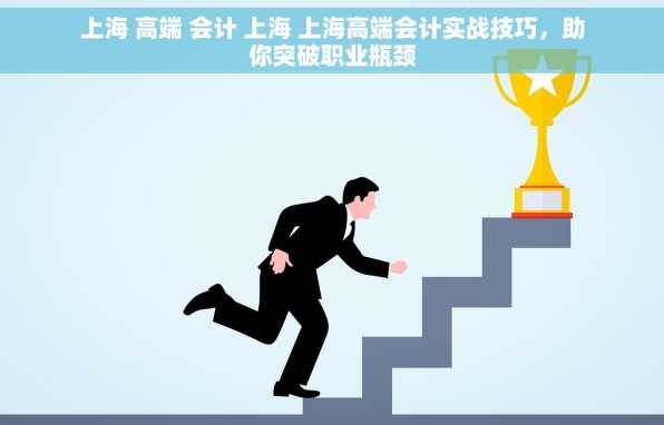 上海 高端 会计 上海 上海高端会计实战技巧，助你突破职业瓶颈