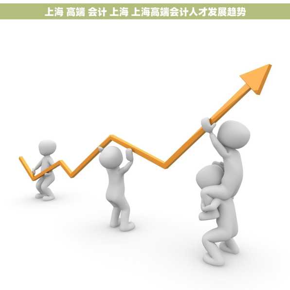上海 高端 会计 上海 上海高端会计人才发展趋势