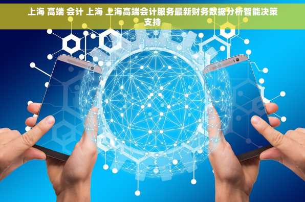 上海 高端 会计 上海 上海高端会计服务最新财务数据分析智能决策支持