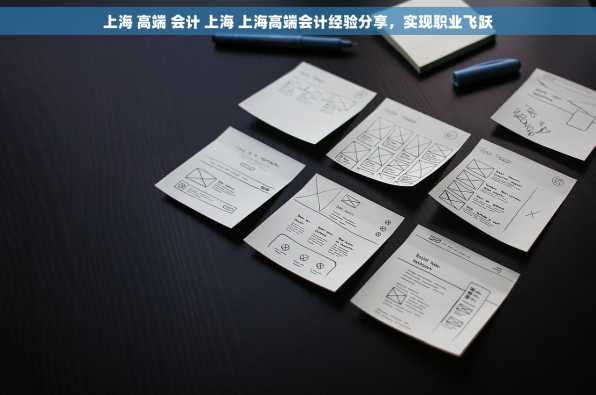 上海 高端 会计 上海 上海高端会计经验分享，实现职业飞跃