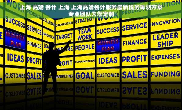 上海 高端 会计 上海 上海高端会计服务最新税务筹划方案专业团队为您定制