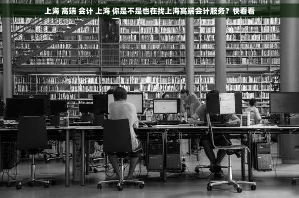 上海 高端 会计 上海 你是不是也在找上海高端会计服务？快看看