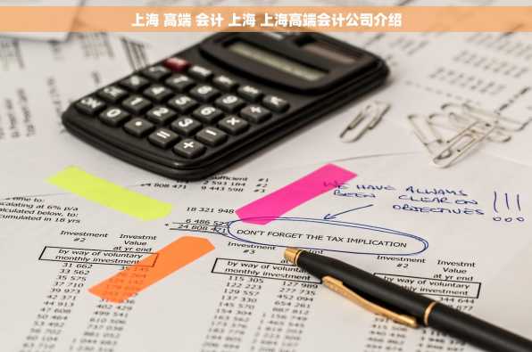 上海 高端 会计 上海 上海高端会计公司介绍