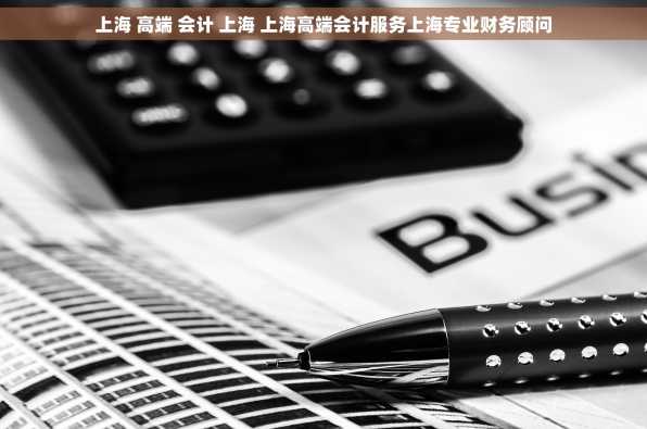 上海 高端 会计 上海 上海高端会计服务上海专业财务顾问