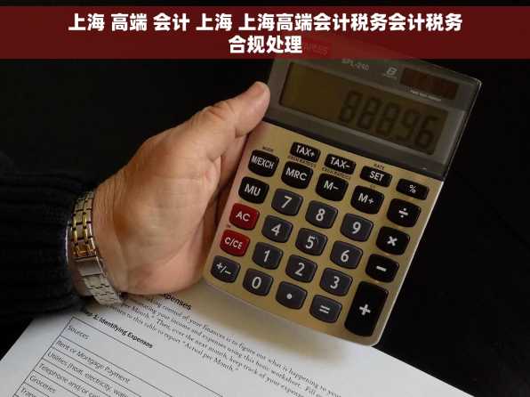 上海 高端 会计 上海 上海高端会计税务会计税务合规处理