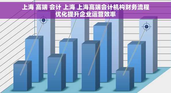 上海 高端 会计 上海 上海高端会计机构财务流程优化提升企业运营效率