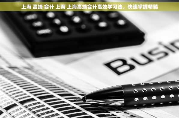 上海 高端 会计 上海 上海高端会计高效学习法，快速掌握精髓