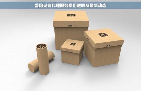 普陀记账代理服务费用透明及最新动态