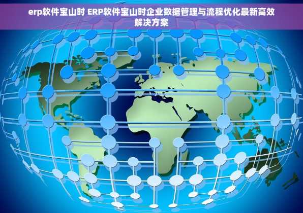 erp软件宝山时 ERP软件宝山时企业数据管理与流程优化最新高效解决方案
