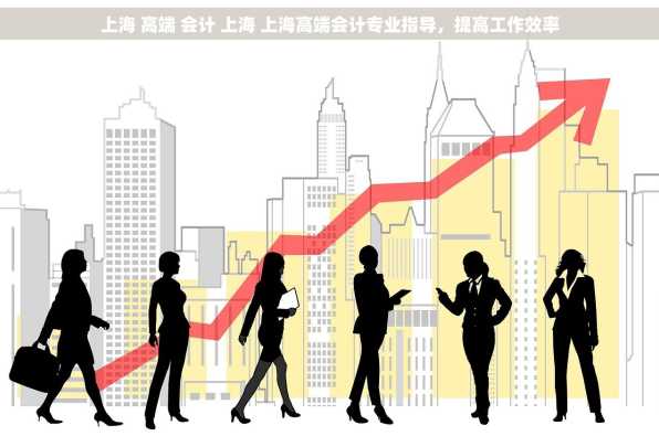 上海 高端 会计 上海 上海高端会计专业指导，提高工作效率