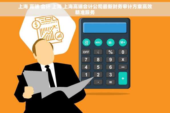 上海 高端 会计 上海 上海高端会计公司最新财务审计方案高效精准服务