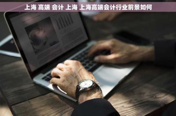 上海 高端 会计 上海 上海高端会计行业前景如何