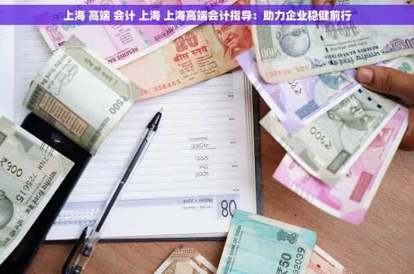 上海 高端 会计 上海 上海高端会计指导：助力企业稳健前行