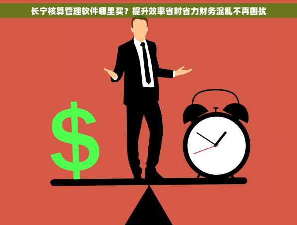 长宁核算管理软件哪里买？提升效率省时省力财务混乱不再困扰