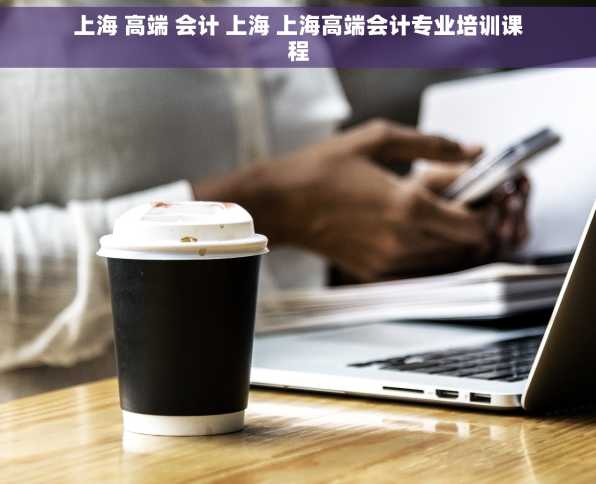 上海 高端 会计 上海 上海高端会计专业培训课程