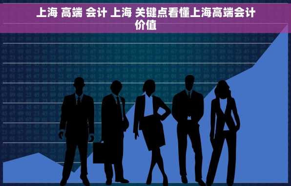 上海 高端 会计 上海 关键点看懂上海高端会计价值