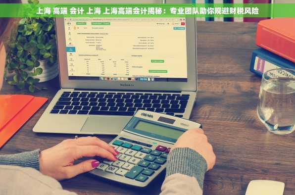 上海 高端 会计 上海 上海高端会计揭秘：专业团队助你规避财税风险