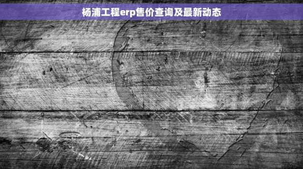 杨浦工程erp售价查询及最新动态