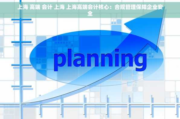 上海 高端 会计 上海 上海高端会计核心：合规管理保障企业安全