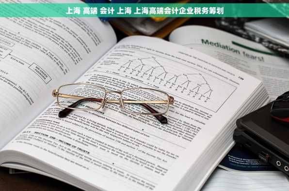 上海 高端 会计 上海 上海高端会计企业税务筹划