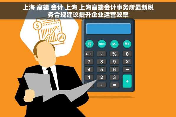 上海 高端 会计 上海 上海高端会计事务所最新税务合规建议提升企业运营效率