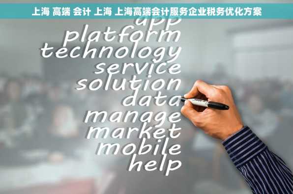 上海 高端 会计 上海 上海高端会计服务企业税务优化方案