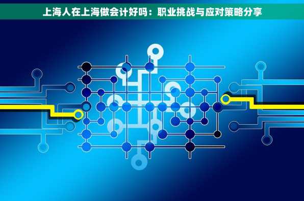上海人在上海做会计好吗：职业挑战与应对策略分享
