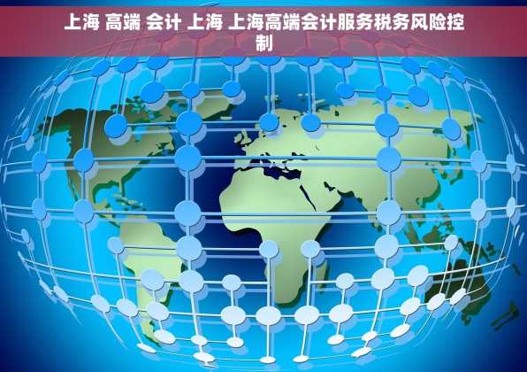 上海 高端 会计 上海 上海高端会计服务税务风险控制