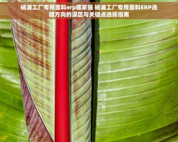 杨浦工厂专用面料erp哪家强 杨浦工厂专用面料ERP选错方向的误区与关键点选择指南