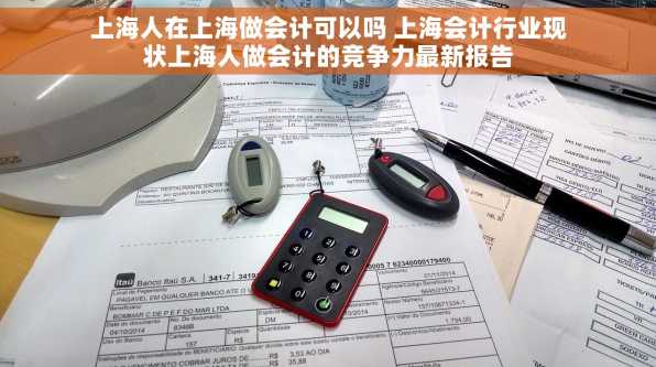 上海人在上海做会计可以吗 上海会计行业现状上海人做会计的竞争力最新报告