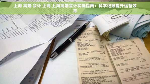 上海 高端 会计 上海 上海高端会计实操指南：科学记账提升运营效率
